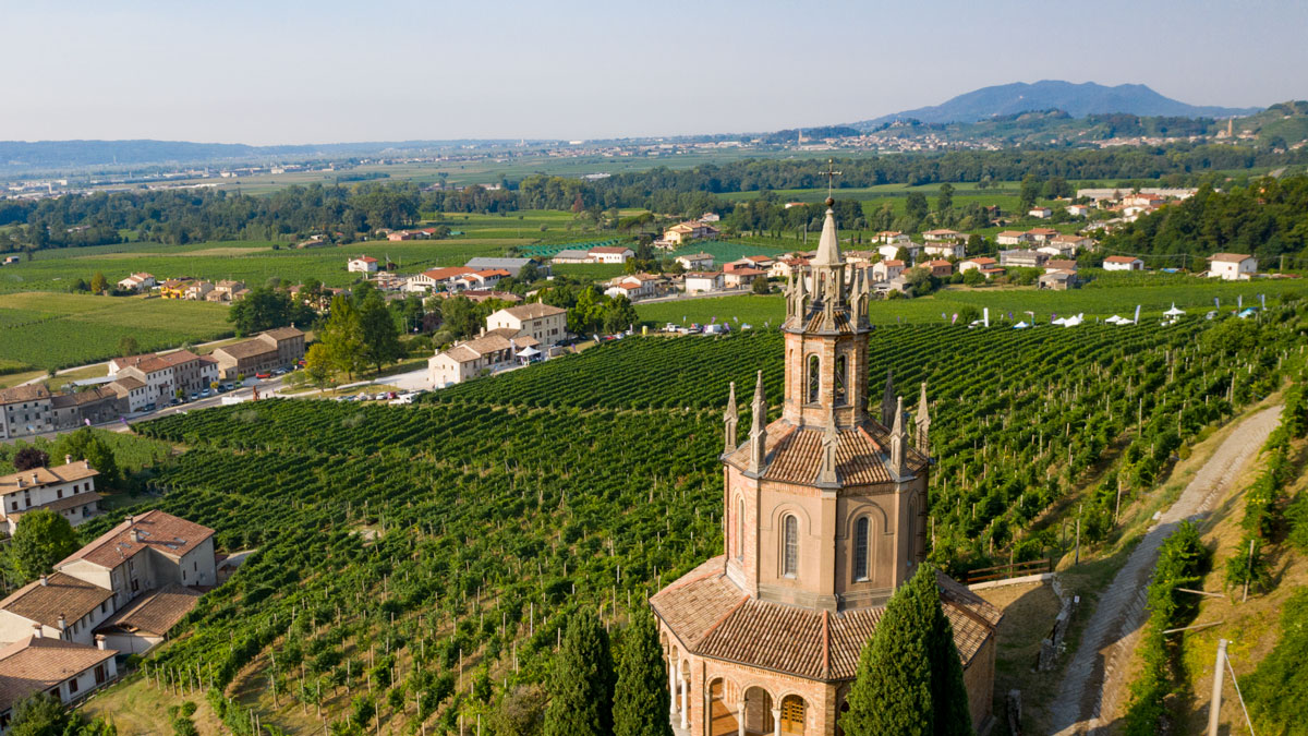 Vite in Campo Eroica a Col San Martino