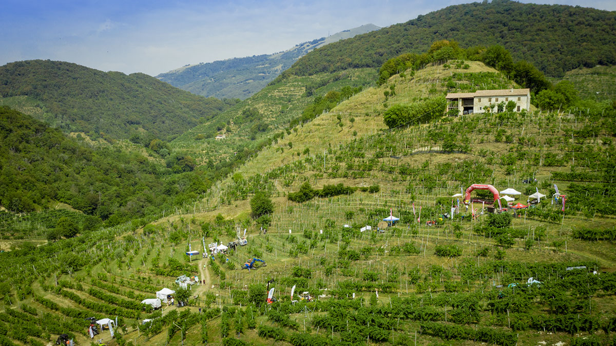 Vite in Campo Eroica a Col San Martino