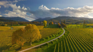 Fotografia di Francesco Galifi