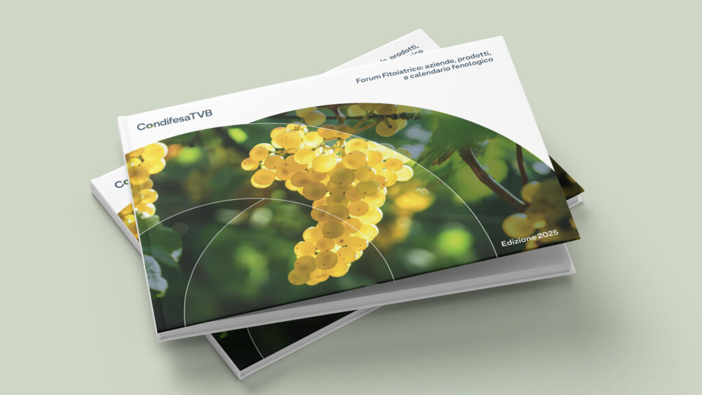 Calendario fenologico 2025