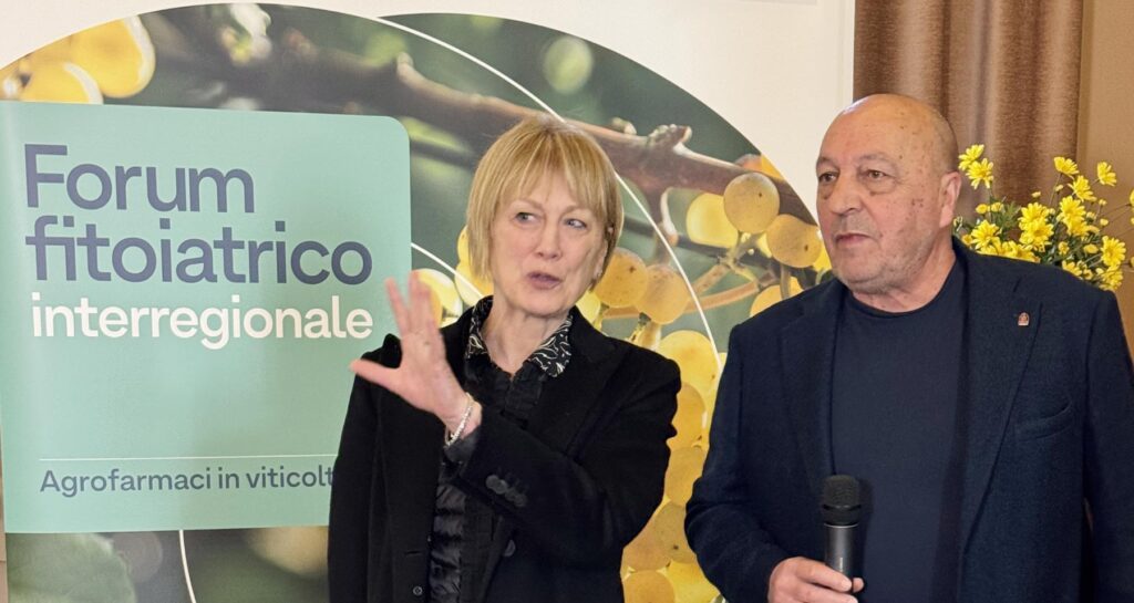 Maria Grazia Marcon, preside dell'ISISS Cerletti di Conegliano, e Fiorello Terzariol, tecnico CondifesaTVB