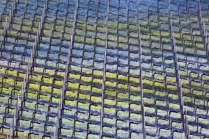 Fotografia di Francesco Galifi