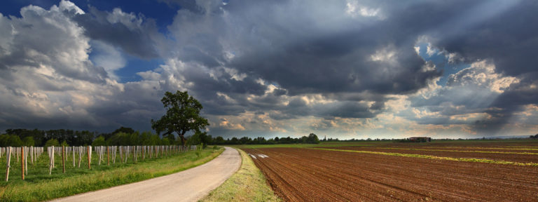 Campagna veneta - Fotografia di Francesco Galifi